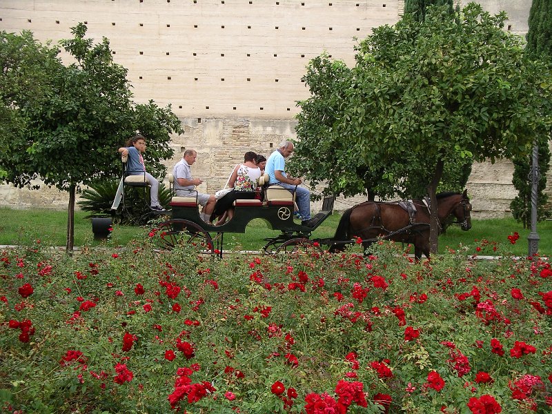 Spanje 2010 276.JPG